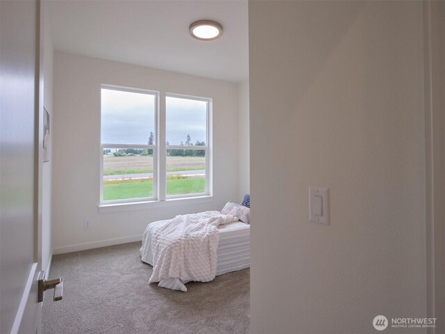 303 Kakela Rd, Winlock, WA 98596 - bedroom featuring carpet flooring and baseboards