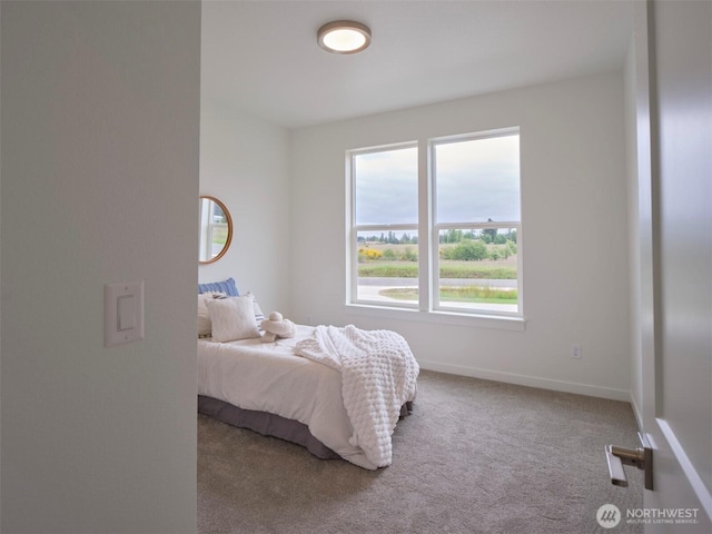 303 Kakela Rd, Winlock, WA 98596 - bedroom featuring carpet and baseboards