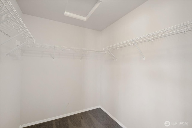 spacious closet featuring attic access and dark colored carpet