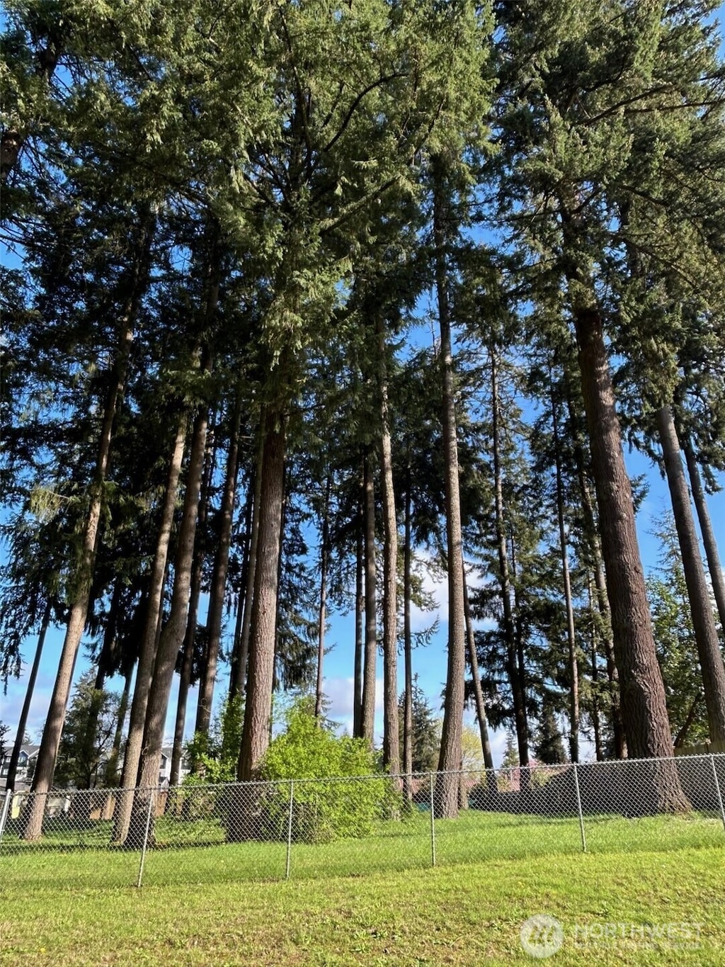 7710 Bobcat Dr SE, Lacey, WA 98503