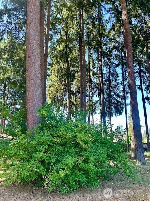 7710 Bobcat Dr SE, Lacey, WA 98503