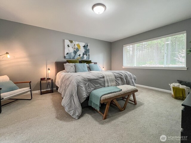 34614 SE Curtis Dr, Snoqualmie, WA 98065 - photo 15