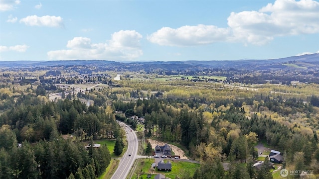 drone / aerial view with a mountain view and a view of trees