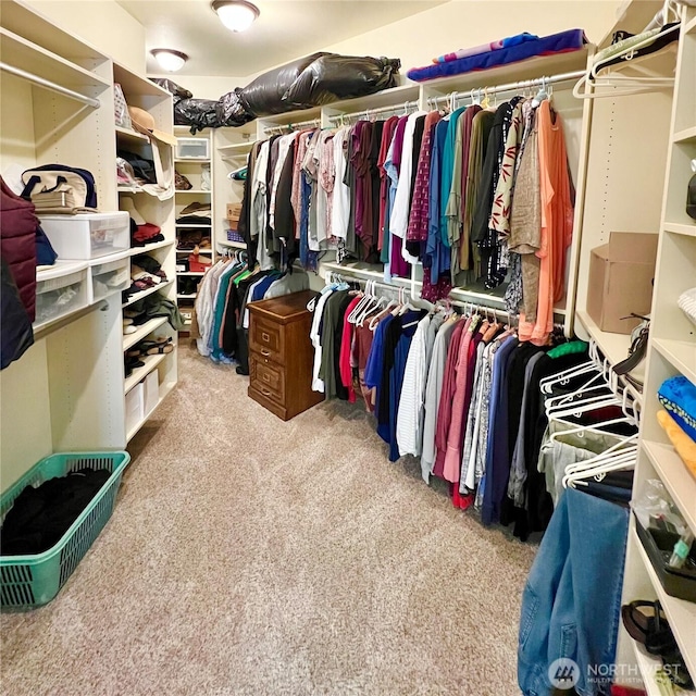 walk in closet with carpet floors