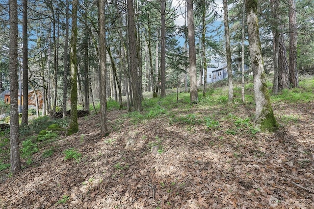 0 Jewett Ln, White Salmon, WA 98672