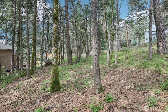 0 Jewett Ln, White Salmon, WA 98672