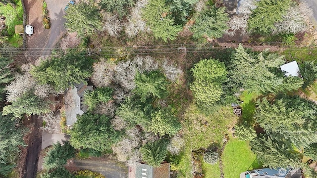 0 Jewett Ln, White Salmon, WA 98672