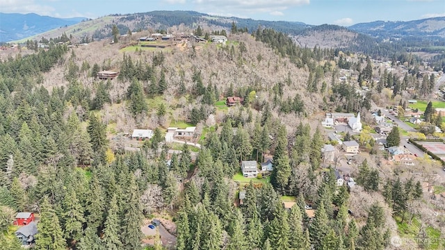 0 Jewett Ln, White Salmon, WA 98672