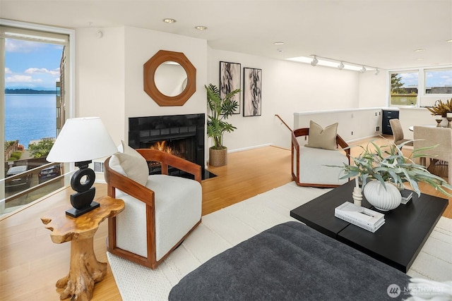 510 Lakeside Ave S Unit 10, Seattle, WA 98144 - living area featuring wood finished floors, a tiled fireplace, baseboards, and a water view