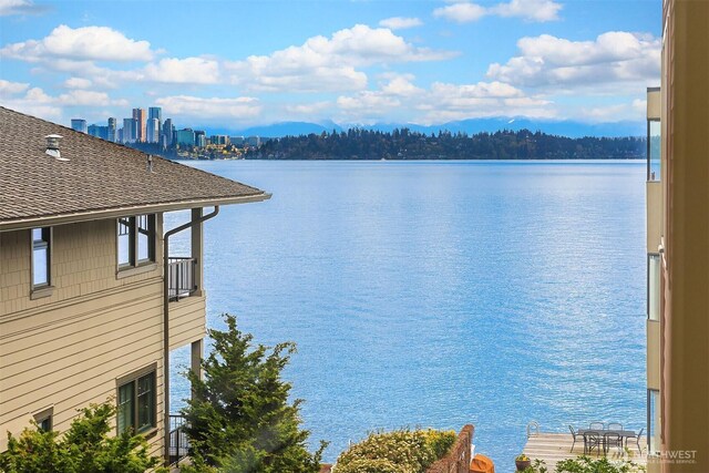 510 Lakeside Ave S Unit 10, Seattle, WA 98144 - water view