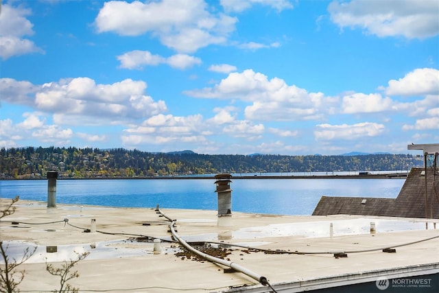 510 Lakeside Ave S Unit 10, Seattle, WA 98144 - dock area featuring a water view and a wooded view