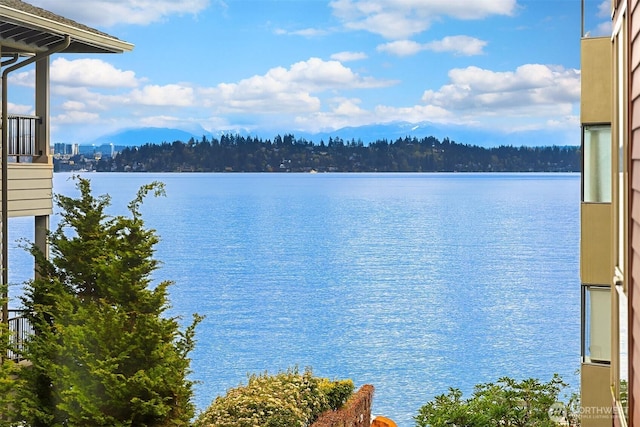 510 Lakeside Ave S Unit 10, Seattle, WA 98144 - water view