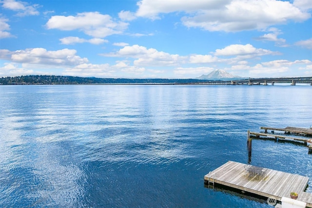 510 Lakeside Ave S Unit 10, Seattle, WA 98144 - view of dock featuring a water and mountain view