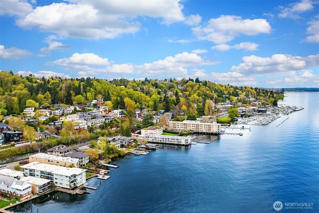 510 Lakeside Ave S Unit 10, Seattle, WA 98144 - drone / aerial view with a water view