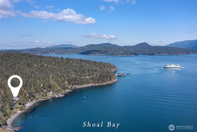 162 Sea Ranch Rd, Lopez Island, WA 98261 - bird's eye view featuring a water and mountain view and a view of trees