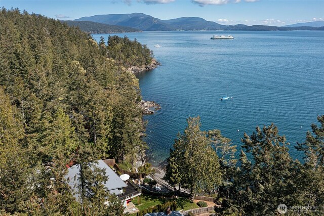 162 Sea Ranch Rd, Lopez Island, WA 98261 - property view of water with a mountain view