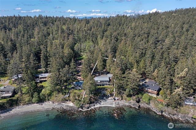 162 Sea Ranch Rd, Lopez Island, WA 98261 - aerial view with a wooded view