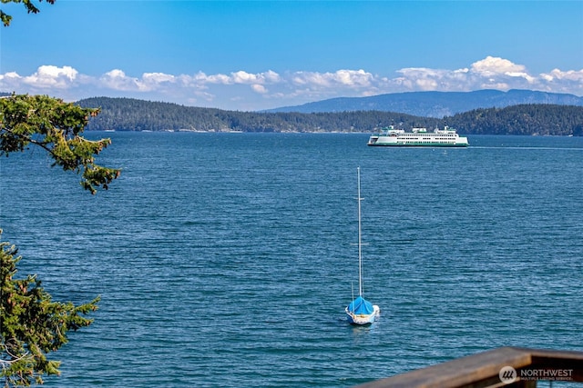 162 Sea Ranch Rd, Lopez Island, WA 98261 - view of water feature with a mountain view