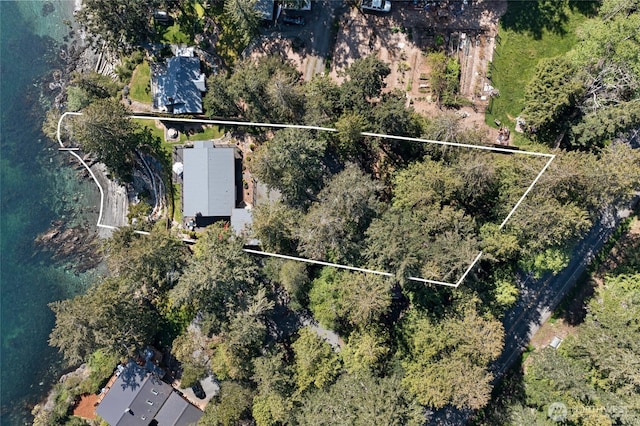 162 Sea Ranch Rd, Lopez Island, WA 98261 - birds eye view of property