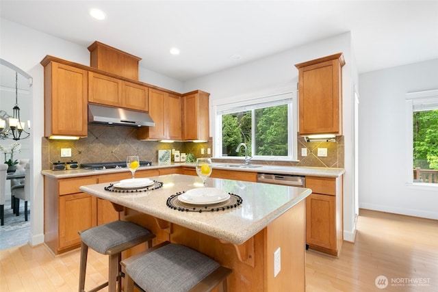 3262 NE Marquette Way, Issaquah, WA 98029 - kitchen featuring under cabinet range hood, a sink, stainless steel appliances, light wood-style floors, and a kitchen island
