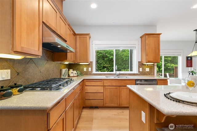 3262 NE Marquette Way, Issaquah, WA 98029 - kitchen with a sink, under cabinet range hood, stainless steel appliances, light wood finished floors, and backsplash