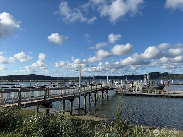 2986 Kindred Ave, Tokeland, WA 98590 - photo 37