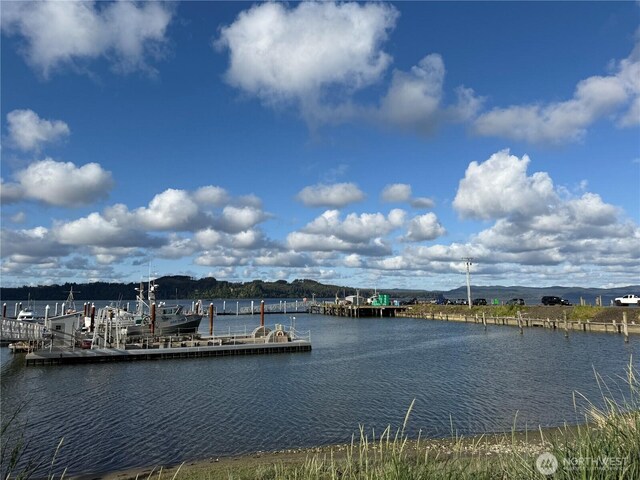 2986 Kindred Ave, Tokeland, WA 98590 - photo 38