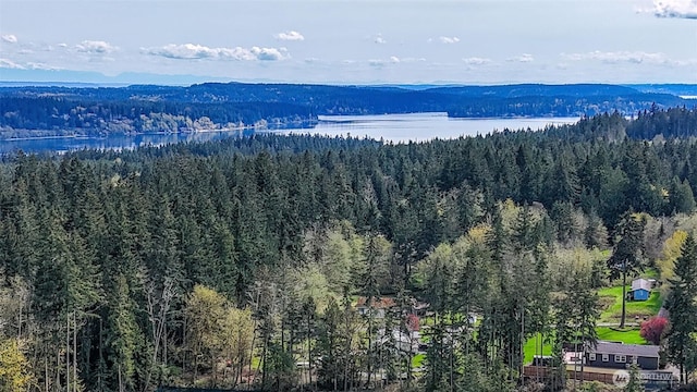 18142 NE Diamond Rd, Poulsbo, WA 98370 - birds eye view of property with a view of trees and a water view