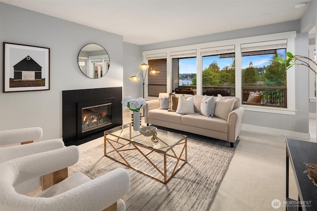 11634 100th Ave NE Unit 323, Kirkland, WA 98034 - living room featuring a tiled fireplace and carpet