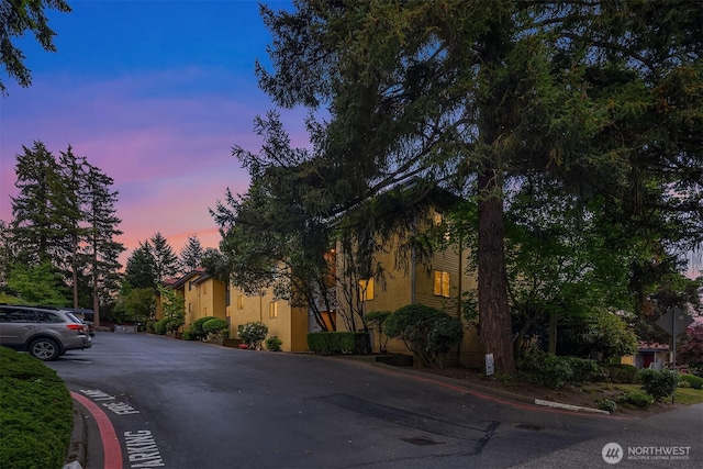 11634 100th Ave NE Unit 323, Kirkland, WA 98034 - view of asphalt road