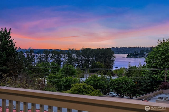 11634 100th Ave NE Unit 323, Kirkland, WA 98034 - water view