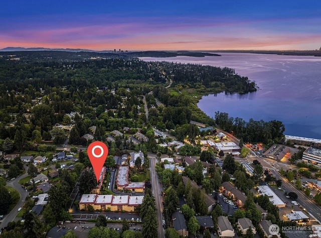 11634 100th Ave NE Unit 323, Kirkland, WA 98034 - aerial view at dusk of a water view