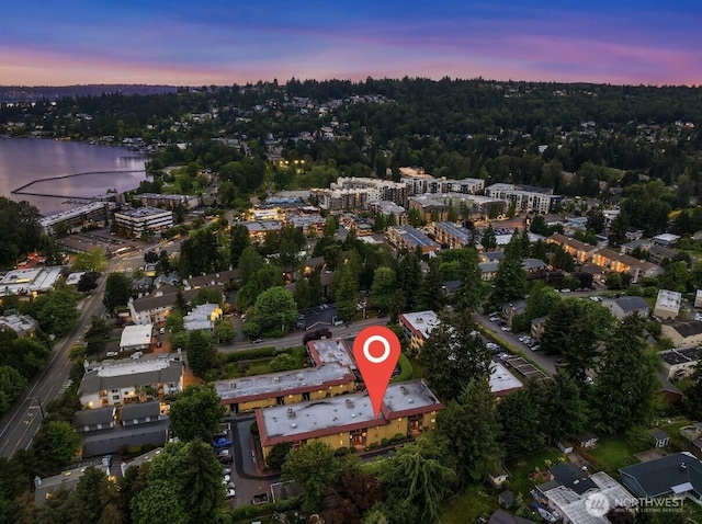 11634 100th Ave NE Unit 323, Kirkland, WA 98034 - aerial overview of property's location with a large body of water