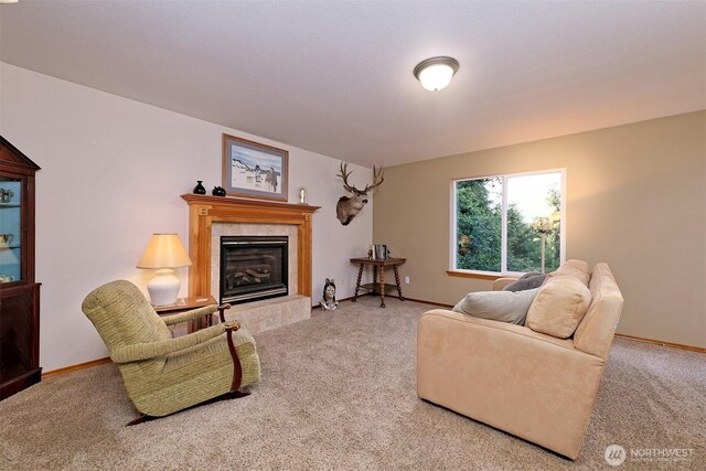191 W Little Nahwatzel Dr, Shelton, WA 98584 - photo 11