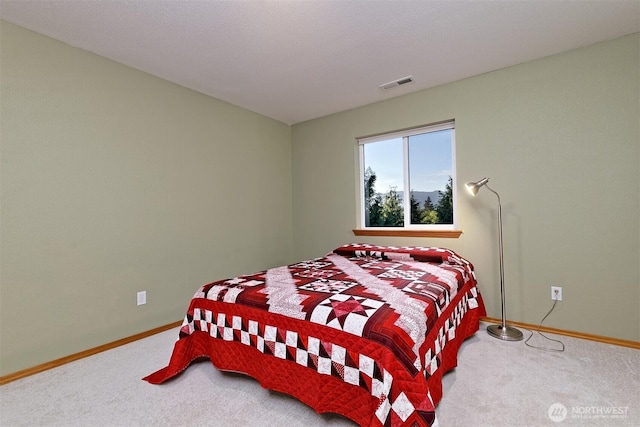 191 W Little Nahwatzel Dr, Shelton, WA 98584 - photo 19