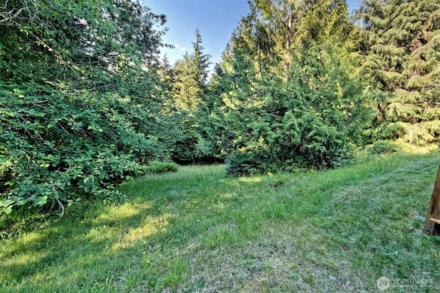 191 W Little Nahwatzel Dr, Shelton, WA 98584 - photo 28