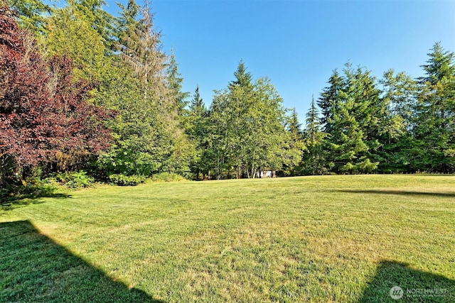 191 W Little Nahwatzel Dr, Shelton, WA 98584 - photo 29
