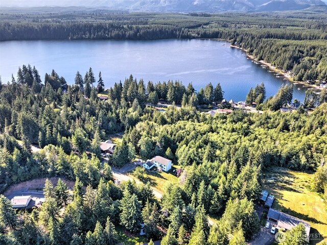 191 W Little Nahwatzel Dr, Shelton, WA 98584 - photo 32