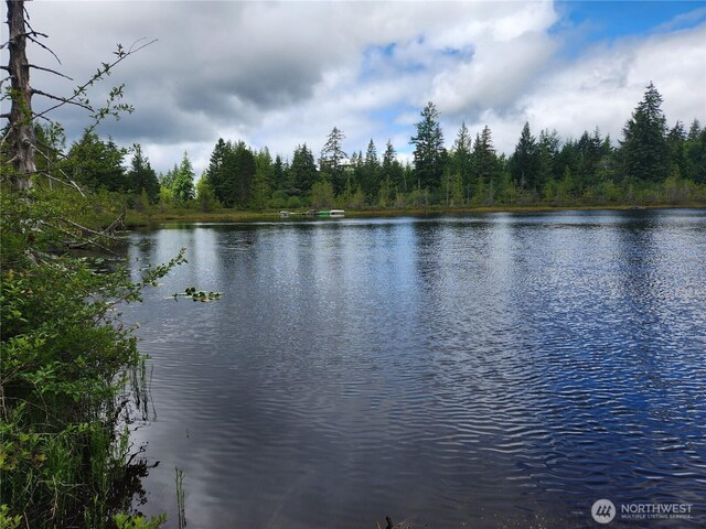 191 W Little Nahwatzel Dr, Shelton, WA 98584 - photo 34