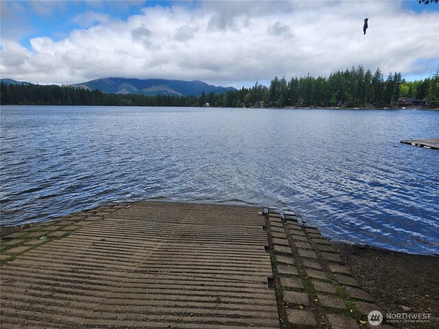 191 W Little Nahwatzel Dr, Shelton, WA 98584 - photo 35