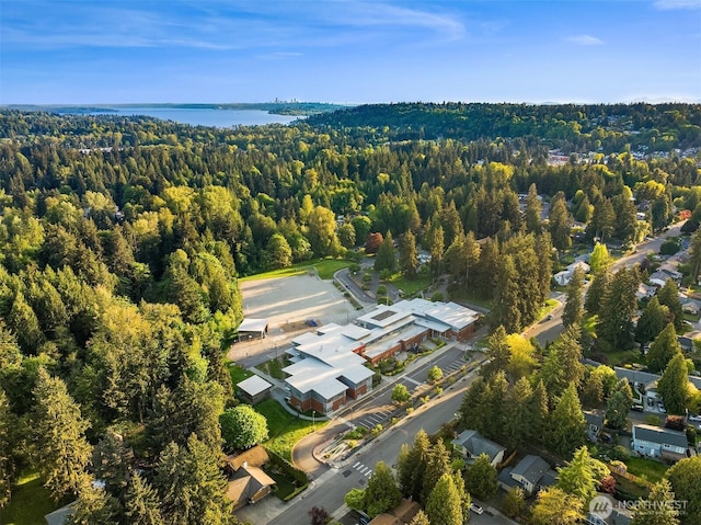 aerial view of a heavily wooded area and a large body of water