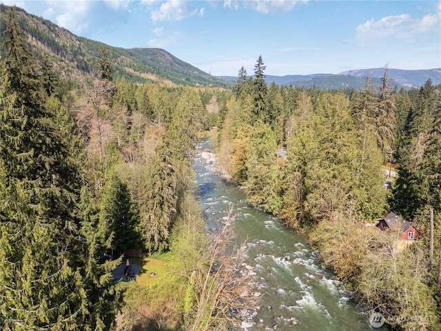 view of mountain background with a forest