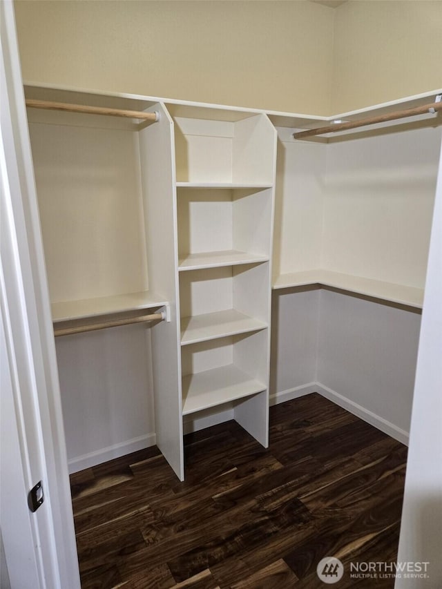 spacious closet with dark wood-type flooring