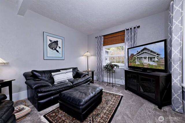 5981 SE Arcadia Rd, Shelton, WA 98584 - photo 24