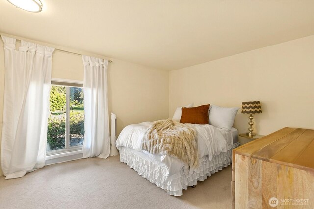 bedroom featuring carpet flooring