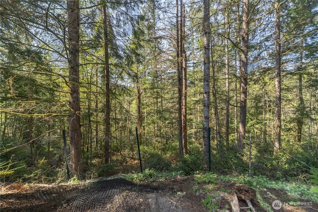 view of woods