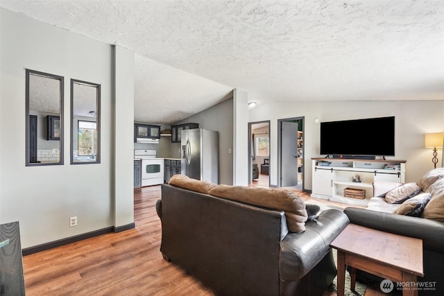 151 Deer Haven Dr, Winlock, WA 98596 - living room with lofted ceiling, a textured ceiling, light wood finished floors, and baseboards