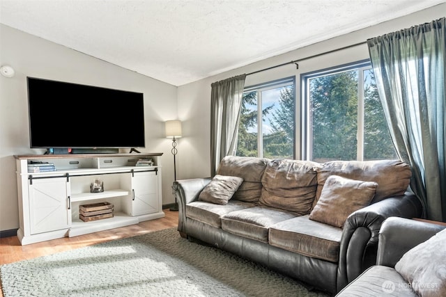 151 Deer Haven Dr, Winlock, WA 98596 - living room featuring lofted ceiling, baseboards, and wood finished floors