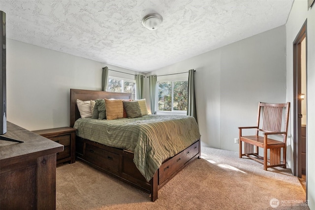 151 Deer Haven Dr, Winlock, WA 98596 - bedroom with lofted ceiling, a textured ceiling, and light carpet