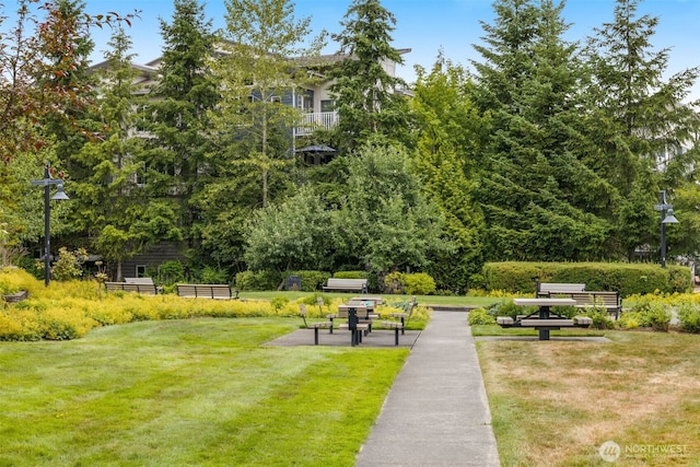 24120 NE 112th Ln Unit 113, Redmond, WA 98053 - photo 30